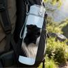 1PC Black White Border Collie Dog 750ml Color Plastic Sports Water Bottle Leakproof Flip Straw Lid Suitable for Sports Office Home Use