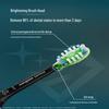 Philips DiamondClean Smart Sonic Electric Toothbrush CN Plug (adapter Included)