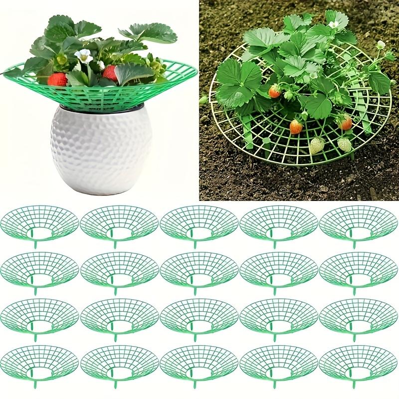 30pcs Durable Green Plastic Strawberry Plant Support Stands | Gardening Trellises for Safe and Healthy Strawberry Development | Home Gardening
