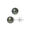 Earrings - Pearls & Colors - Tahitian Cultured Pearls 8-9 Mm - 925 Sterling Silver - 2-year Warranty - Prestige Box