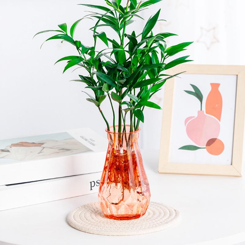 1 Pcs Creative Transparent Plastic Flower Vase Hydroponic Vase Living Room Desktop Decoration Wedding Centerpiece Arrangement