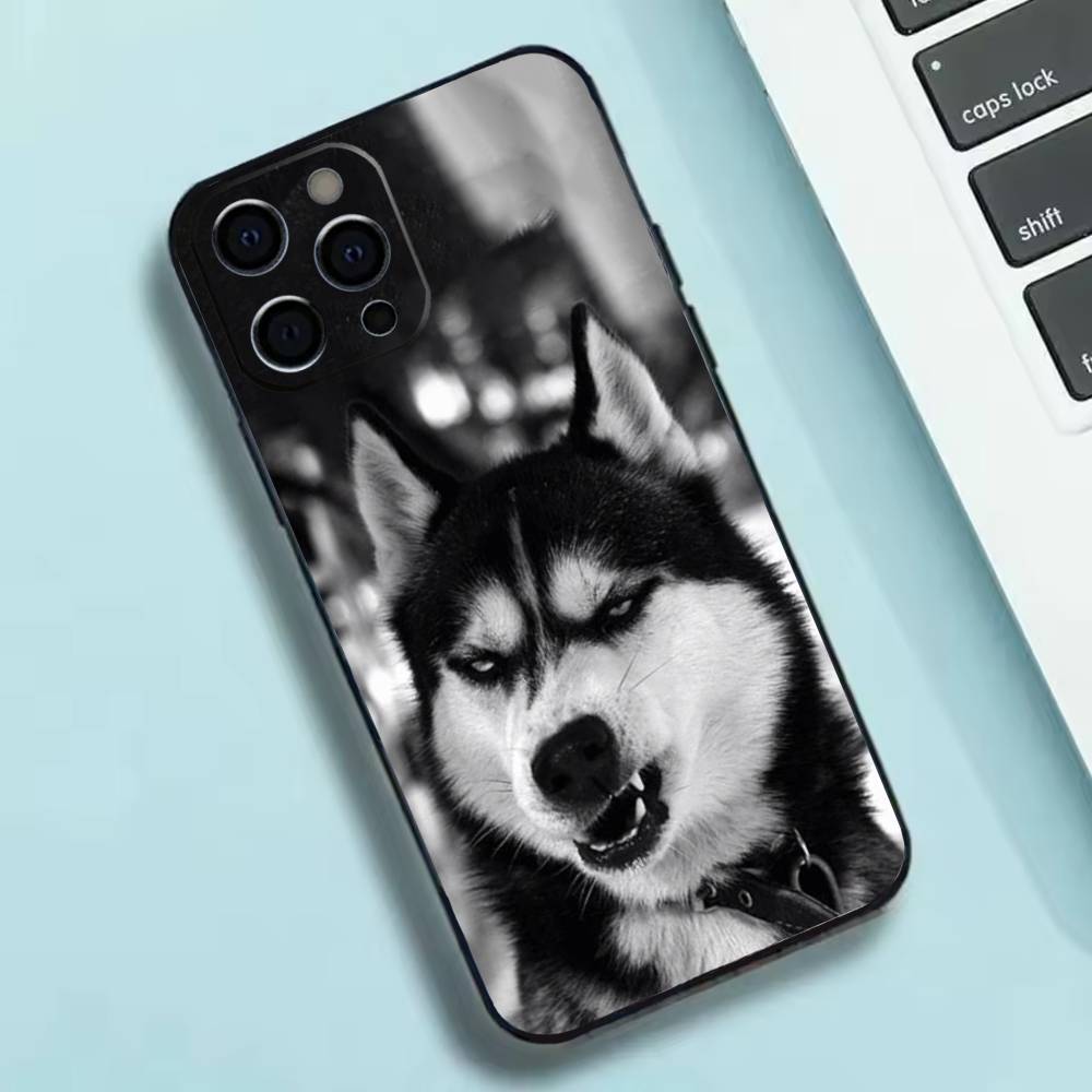 Cute Siberian Husky Dog Phone Case Silicone Soft For IPhone 17 16 15 14 13 12 11 X XR Plus Pro Max Plus