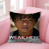 Koreanische TV-Serie W-Weak Hero Klasse 1 2 Büro Kissen Kissenbezug Auto Kissenbezug 45x45cm Lendenkissenbezug Sofakissenbezug