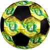 SIZE 5 León FC Soccer Ball Colorful All Ages Machine Stitched PVC Competition Ready Durable High-Bounce