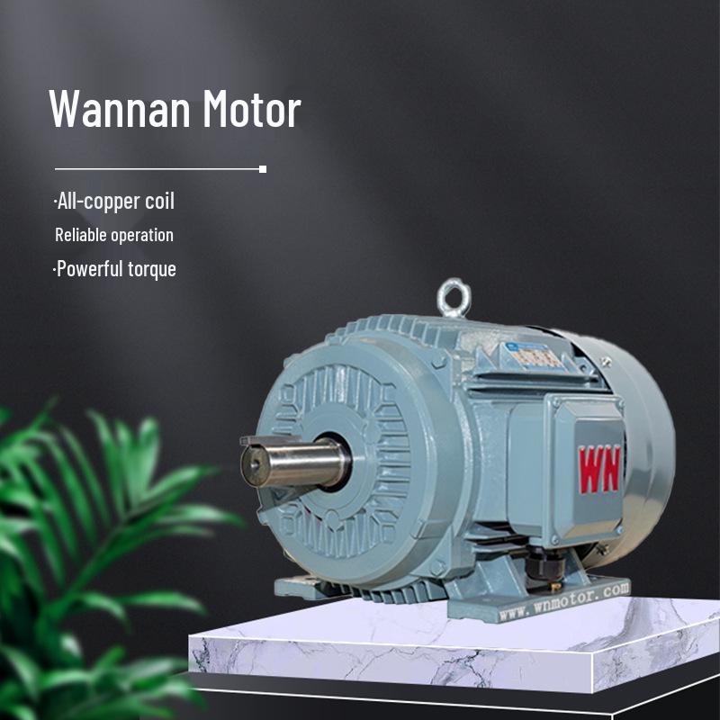 Wannan Motor TYCP2 Serie Dreiphasen-Frequenzumrichter-PMS-Motor