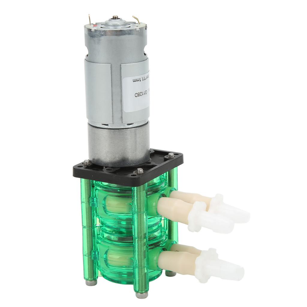 Dual Head High Flow Corrosion Resistant Peristaltic Pump Liquid Dosing Pump with BPT Tube 700ml Min DC24V 600mA