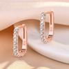 Hot Popular 925 Sterling Silver Charms Crystal Jewelry Fashion Zircon Circle Hoop Earrings For Woman Lady Wedding Party Gift