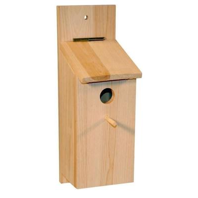 Păsări – Cuști pentru păsări și accesorii