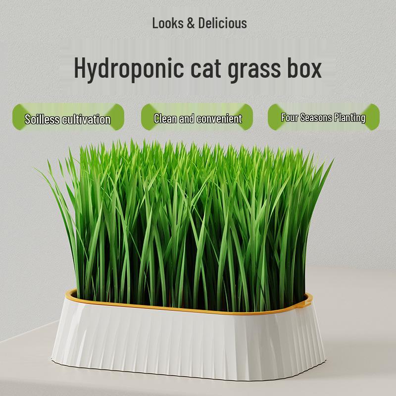 Hydroponic Cat Grass Seed Box - Soilless Wheat Cultivation Kit