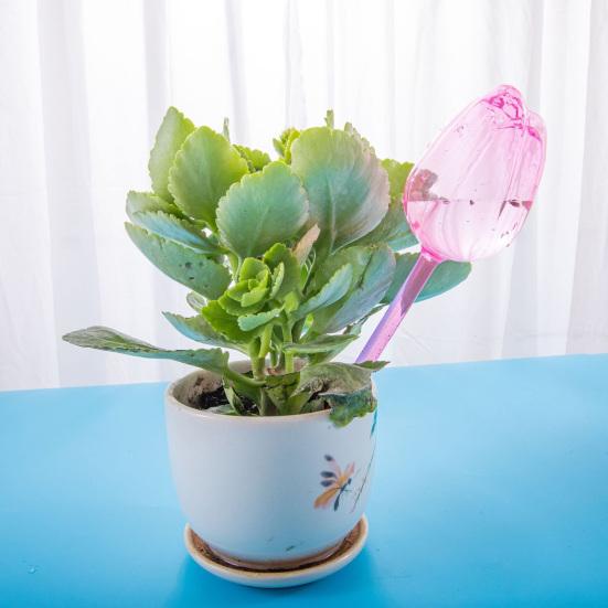 Tulip-Shaped Watering Bulbs Plastic Self Watering Planter Insert Automatic Plant Watering Ball for Indoor Outdoor Plants
