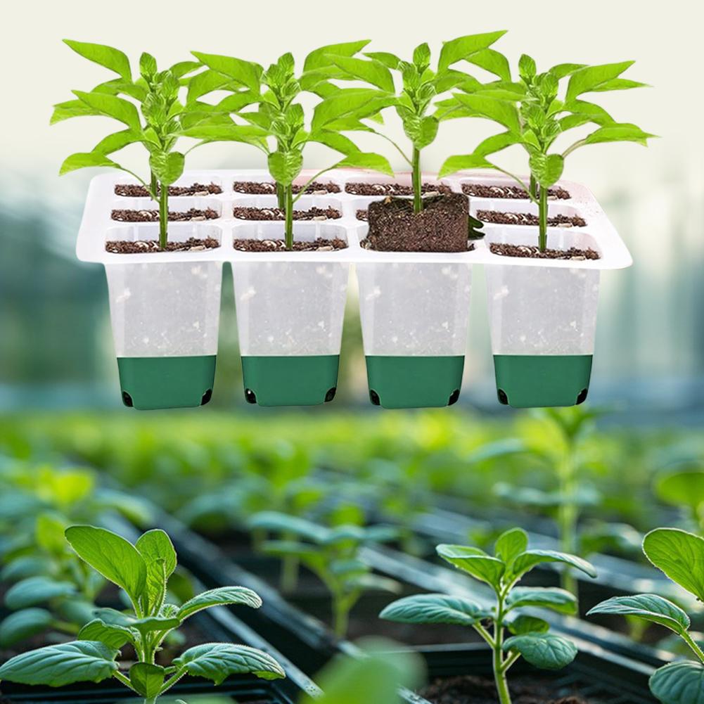 11 Holes Garden Nursery Seedling Dish Plastic Nursery Seedling Trays Seed Starter Trays Vegetable Seedling Pots Garden Supplies