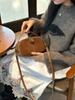 Mini handbagnew autumn/winter stylecrossbody baghand-heldfashionable cowhide leatherversatilegenuine leather retro women's bag.