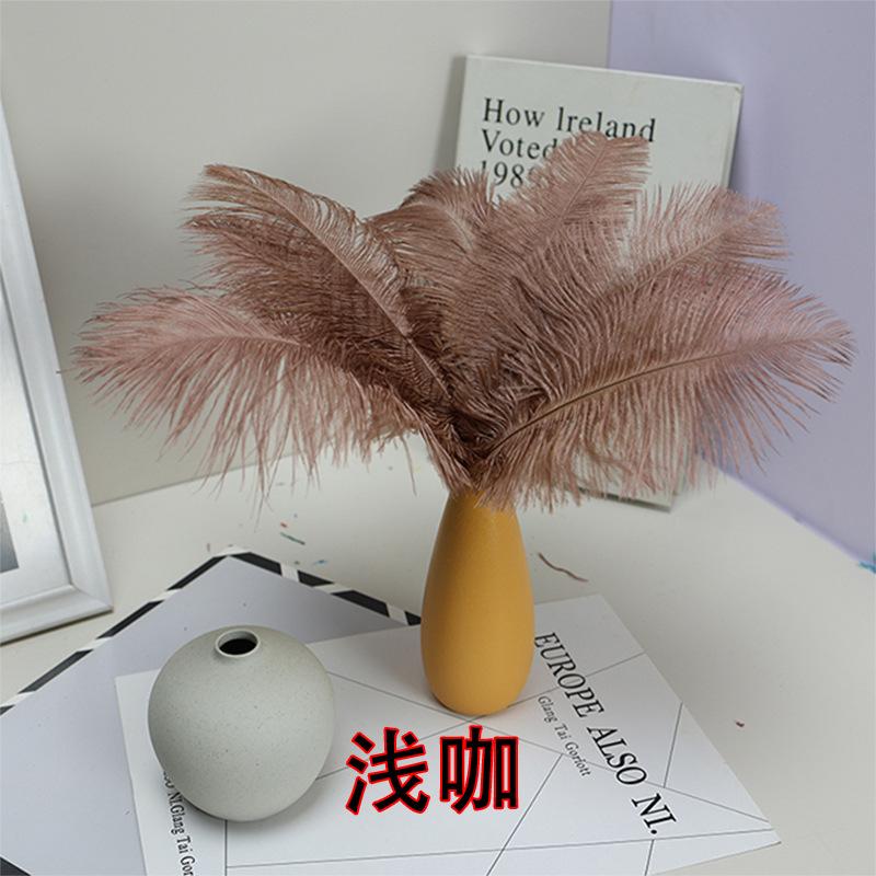 

10 шт. 20-25 см Перо страуса Сценическое выступление Перо Ручная работа DIY Ювелирные изделия Декоративный материал Волосы страуса светло-коричневого