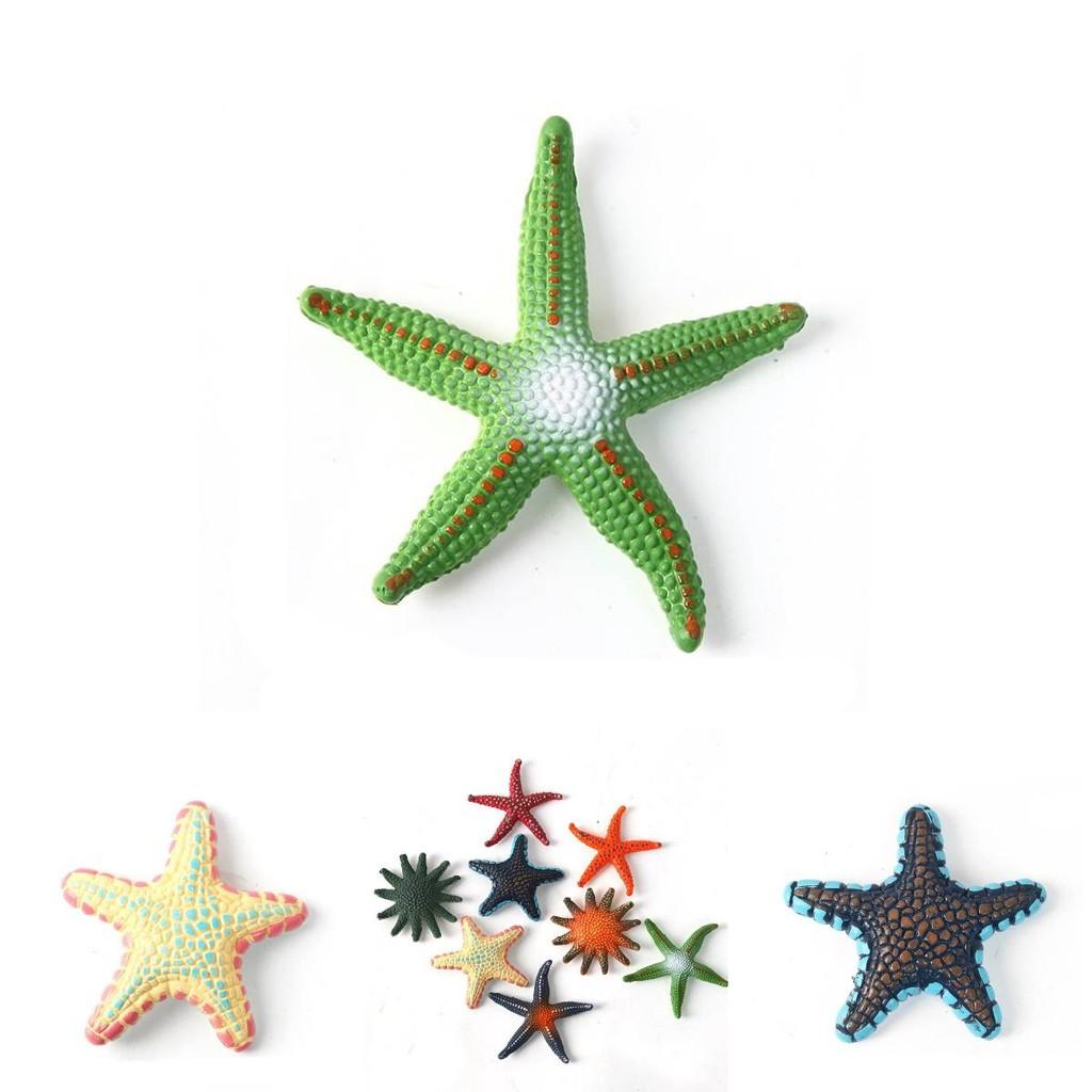 Authentic Sea Star Animal Models For Kids Educational Beach Toys Colorful Pvc Set
