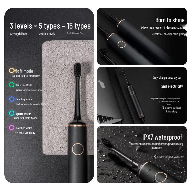 Baier G1 Sonic Electric Toothbrush