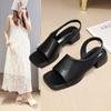 Summer cool slippers thick heel 2025 Rome new women's shoes square head black niche French retro sandals women