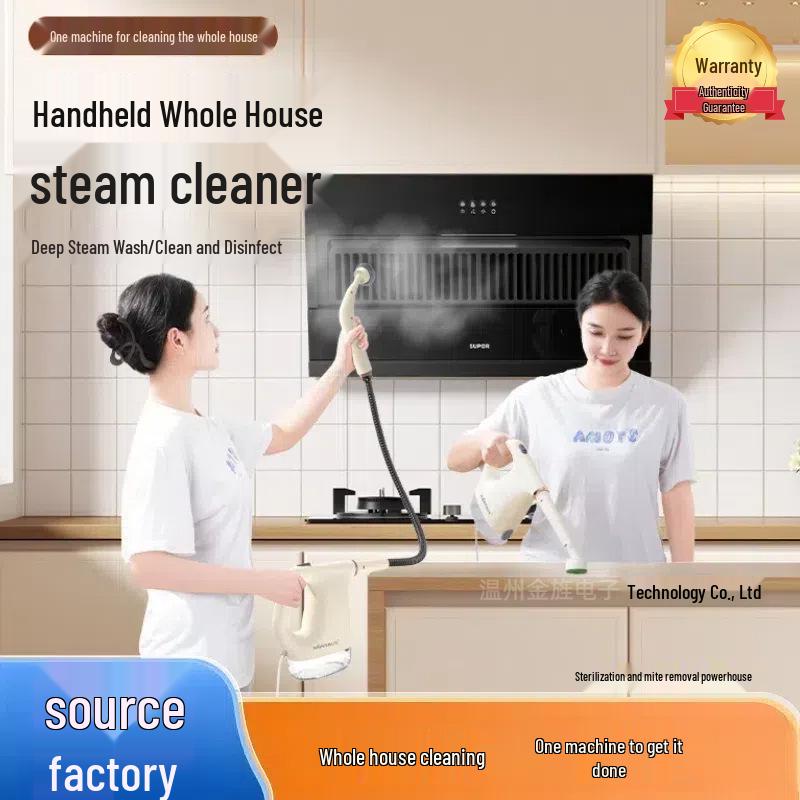Compact High-Pressure High-Temp Handheld Steam Cleaner for Kitchen and AC Sanitizing