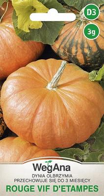 Giant Pumpkin Rouge Vif d'Etampes 3g Zucchini Pumpkin Seeds -