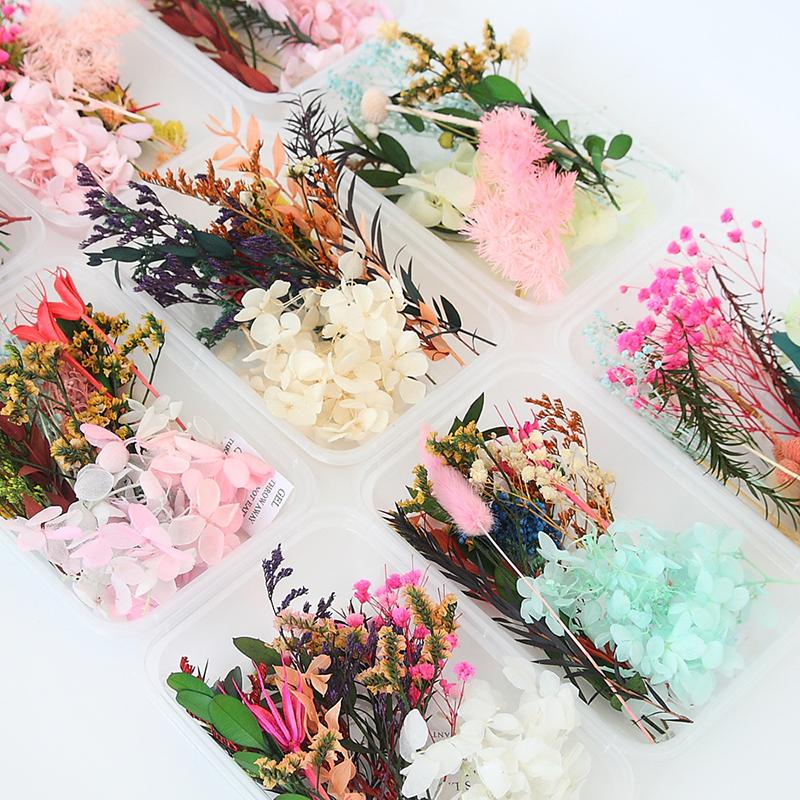 Real Dried Flowers Leaves Set Crafts Art Mixed Multiple Flower for Candle Resin for Jewelry Pendant Making Craft DIY Accessories