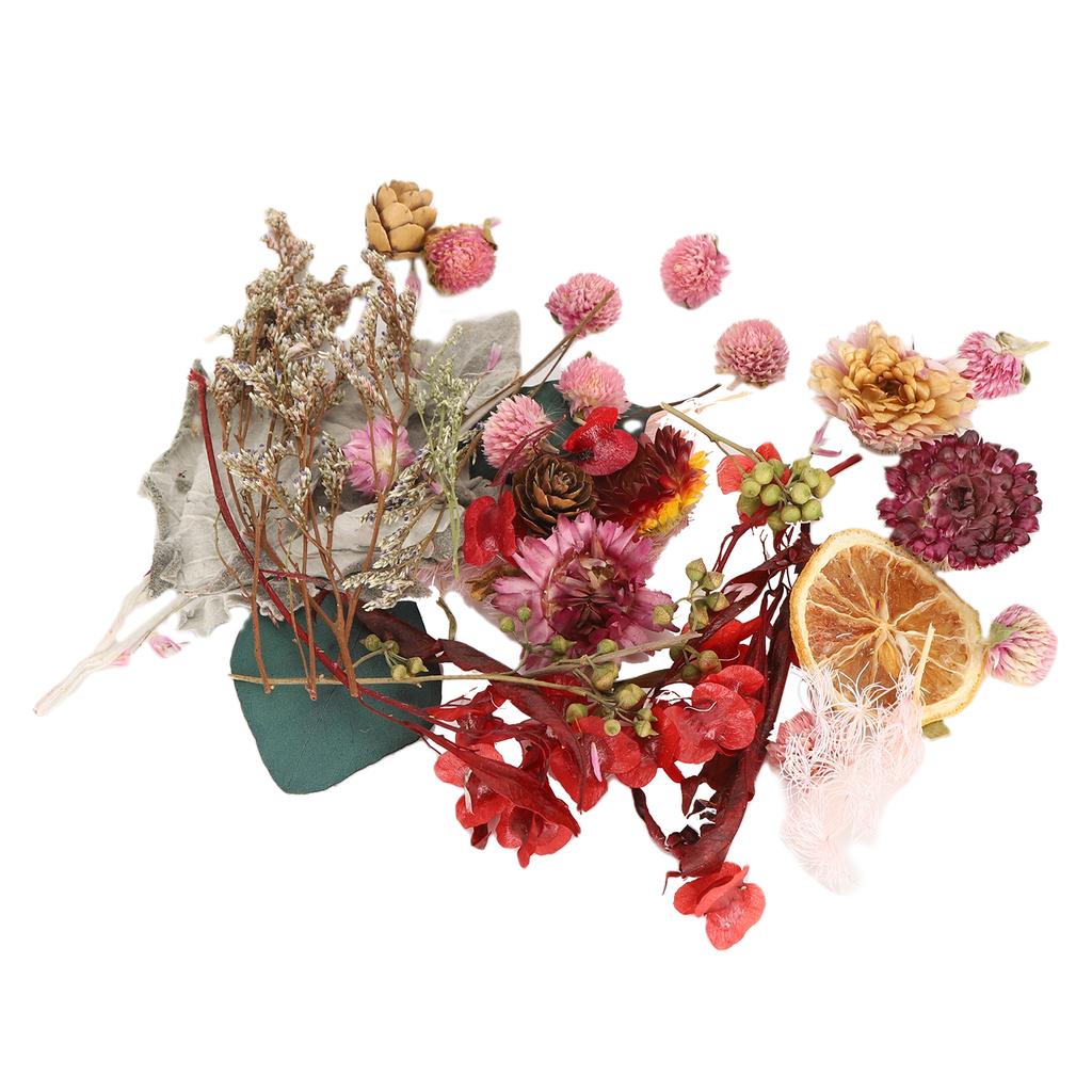 2 Packs Dried Flowers Colorful Floral Naturally AirDried Bouquet Making Decoration Supplies