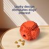 Outdoor Educational Teething Dog Toy with A Cross Structure for Chewing and Self-entertaining Pet Toys