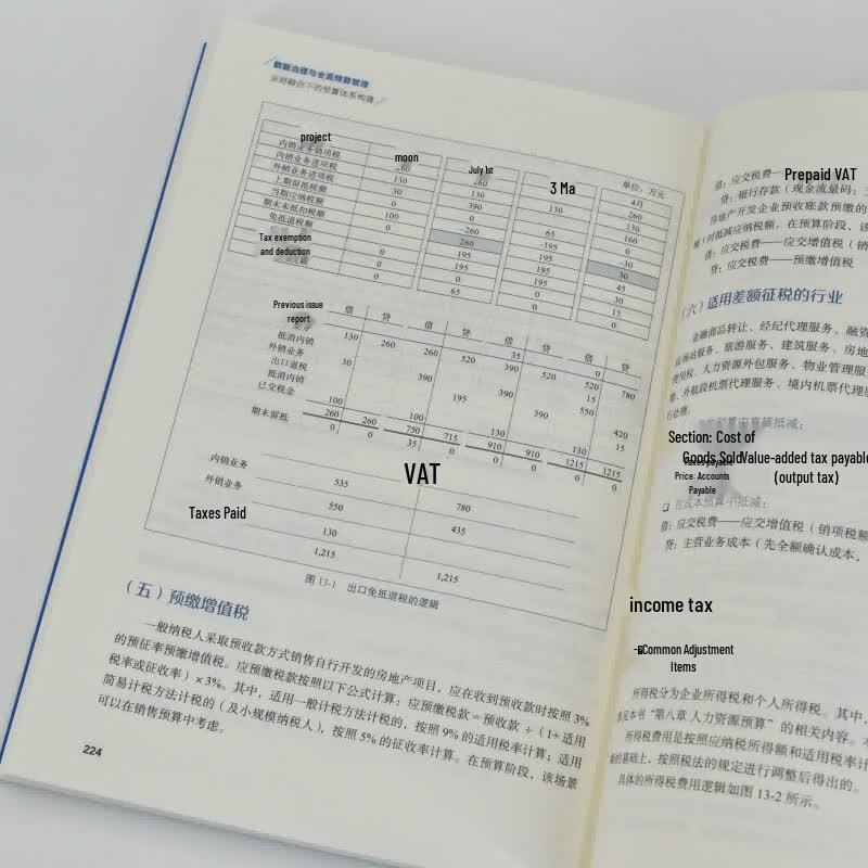 Data Governance & Comprehensive Budget Management Book