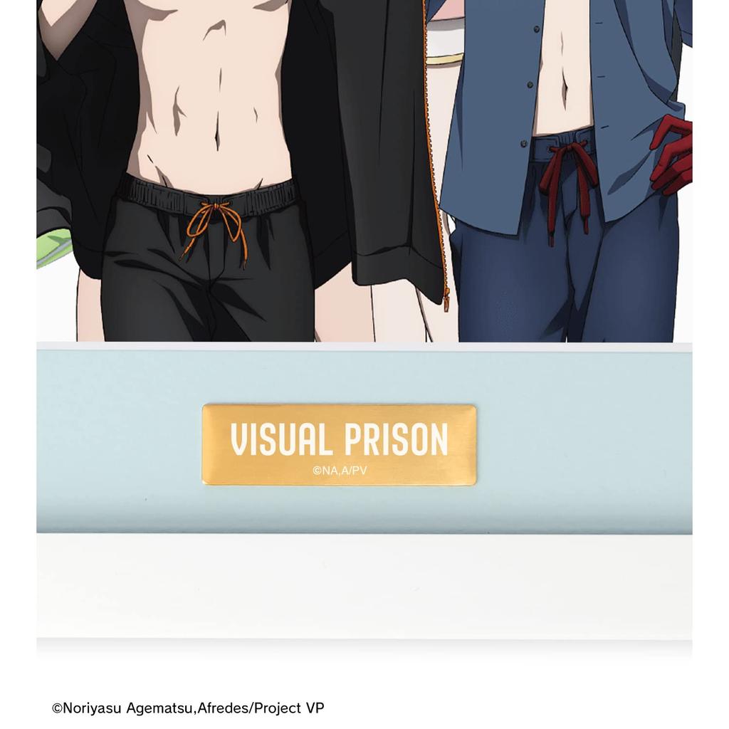 TV Anime "Visual Prison" Original Illustration Group Swimsuit Ver. Chara Fine Graph