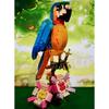 Simulation animal building block model, 3 in 1 exotic parrot building toy set, can be transformed into 3 different animal figure