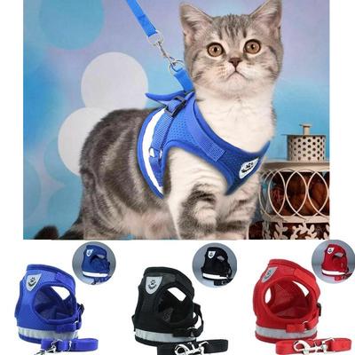 2019 New Soft Breathable Air Nylon Mesh Puppy Dog Pet Cat Harness and Leash Set