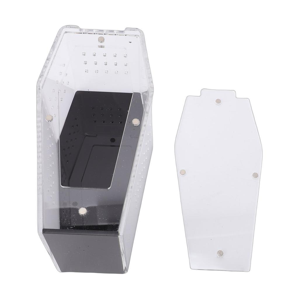 Acrylic  ing Spider Enclosure Versatile Ventilated Transparent Reptile Terrarium Box for Tarantula         Crab