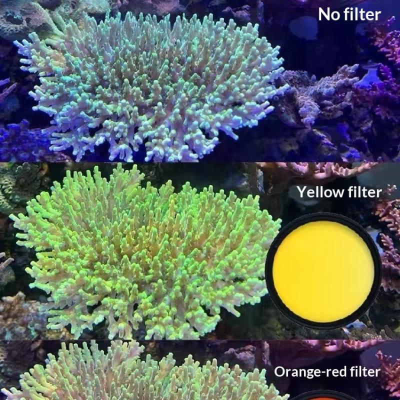 1 Set Saltwater Coral Tank Photo De-Blue Light Macro Photography God Lens Cell Phone Clip Marine Tank Filter