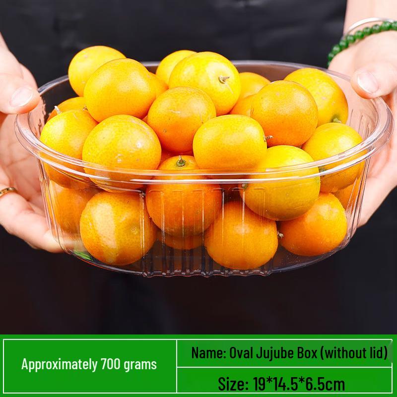 Disposable Clear Plastic Food Containers