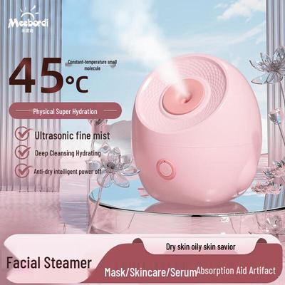 Nano-Ionic Facial Steamer CN Plug (adapter Included)