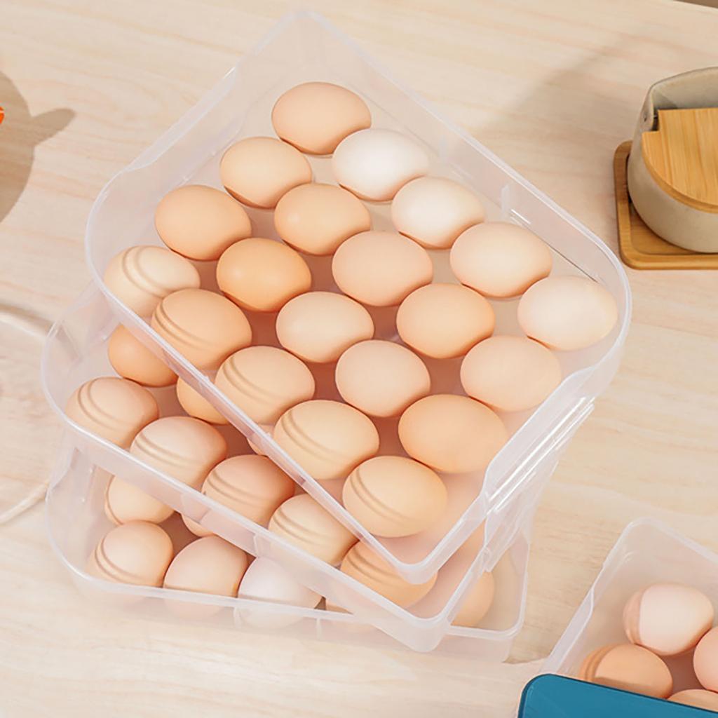 20 Compartment Refrigerator Eggs Box Fresh-Keeping Storage Box Eggs Rack