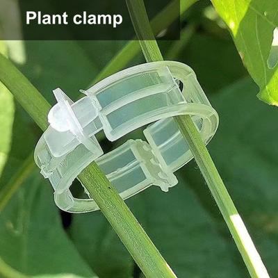 Lot de 100/200/300 clips de support en plastique réutilisables pour plantes grimpantes, vignes, concombres, usage intérieur et extérieur