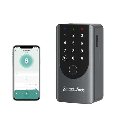 Cutie de securitate cu cheie (Gri Metalic, APP+Sonerie Integrată+Amprentă+Cod)