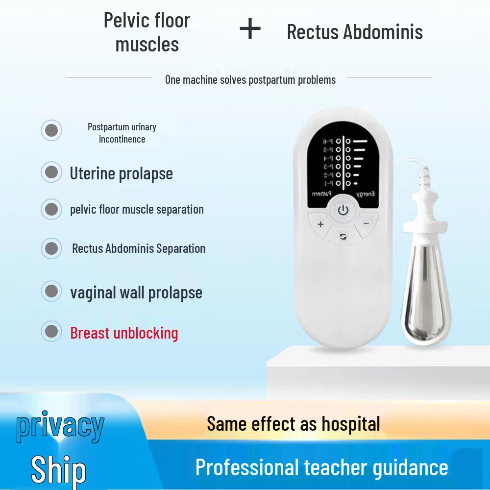 Portable Multifunctional Pelvic Floor and Abdominal Muscle Repair Device for Postpartum Recovery