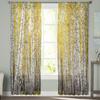 Aspen Trees Autumn Woods Window Curtains For Living Room Bedroom Kitchen Chiffon Sheer Window Treatment