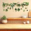 Potted Green Plant Shelf Wall Decal Tropical Plants Green Leaves Wall Stickers Removable Wall Art Murals for Living Room Bedroom Kitchen Office