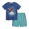 European Style Boys' Summer Two-Piece Cotton Sports Set - Short-Sleeve Top & Shorts