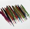 Female Pheasant Tail Feathers 10pcs/lot 25-30cm/10-12" Natural Red Green Brown Feathers For Crafts Diy Decorations Plumes