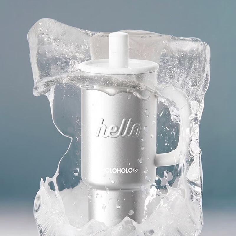 HOLOHOLOmini NTT-02 Insulated Stainless Steel Straw Tumbler