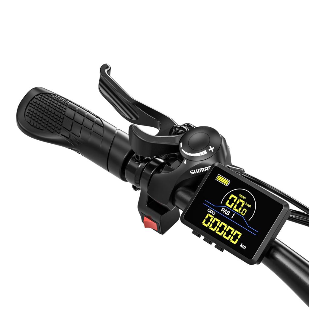 JOOBIKE JOO2 Elektrické kolo 1000W Bezkartáčový motor 48V 16AH Hydraulická brzda Městské elektrické kolo 29*2.25" Fat Tire Elektrické kolo