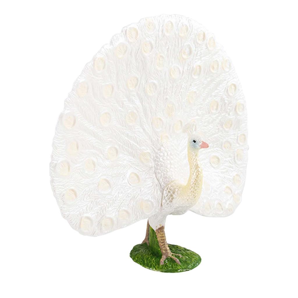 Wild Animal Figure Education Toy Preschool Decorative Realistic Peacock Model Handpainted for Office Home Decoration Children