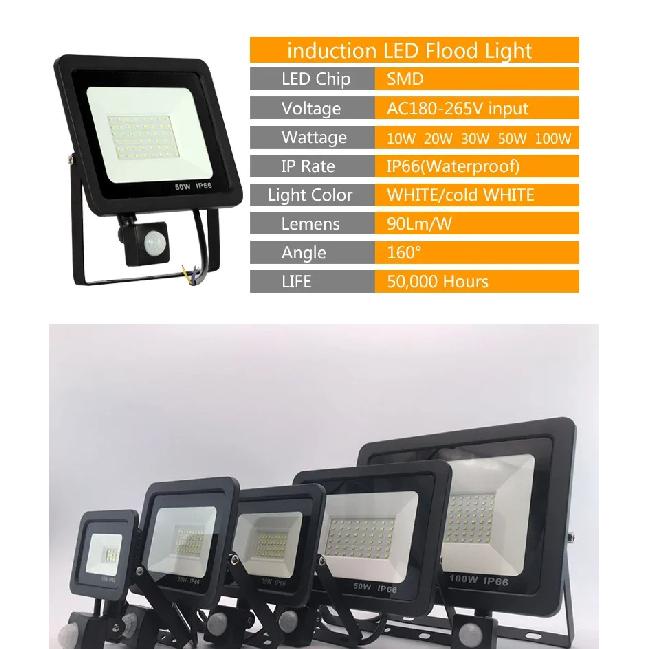 10W 20W 30W 50W 100W Induction Led Flood Light With Adjustable PIR Sensor 110V 220V Floodlight Street Square Outdoor Lighting