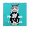 2026 Annual Angry Cat Calendar - Fun Trendy Gift for Angry Cat Lovers -12 Months Wall Planner,Used for Joke Gifts