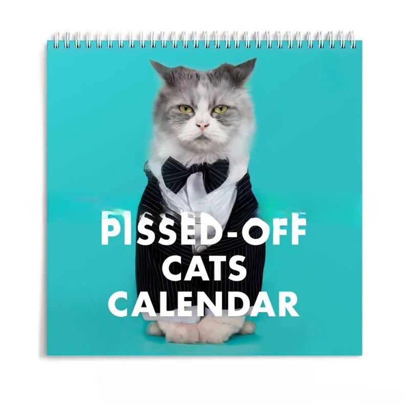 2026 Annual Angry Cat Calendar - Fun Trendy Gift for Angry Cat Lovers -12 Months Wall Planner,Used for Joke Gifts