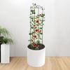 Trellis For Potted Plants Garden Vine Climbing Rack Houseplant Flower Cage Stake Rack Vine Climber Stand For Garden Use