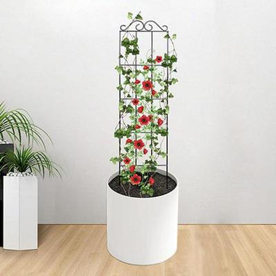 Trellis For Potted Plants Garden Vine Climbing Rack Houseplant Flower Cage Stake Rack Vine Climber Stand For Garden Use