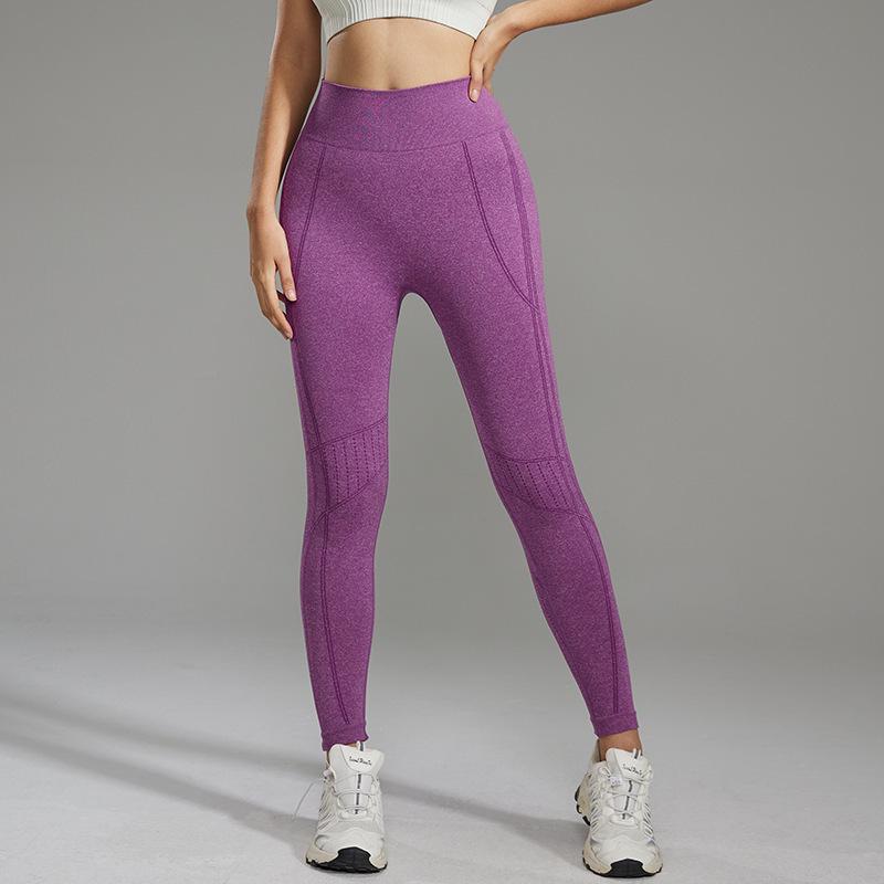 Seamless High-Waist Yoga Pants Elastic Hip-Lifting Outdoor Autumn Winter Fitness Tights Women